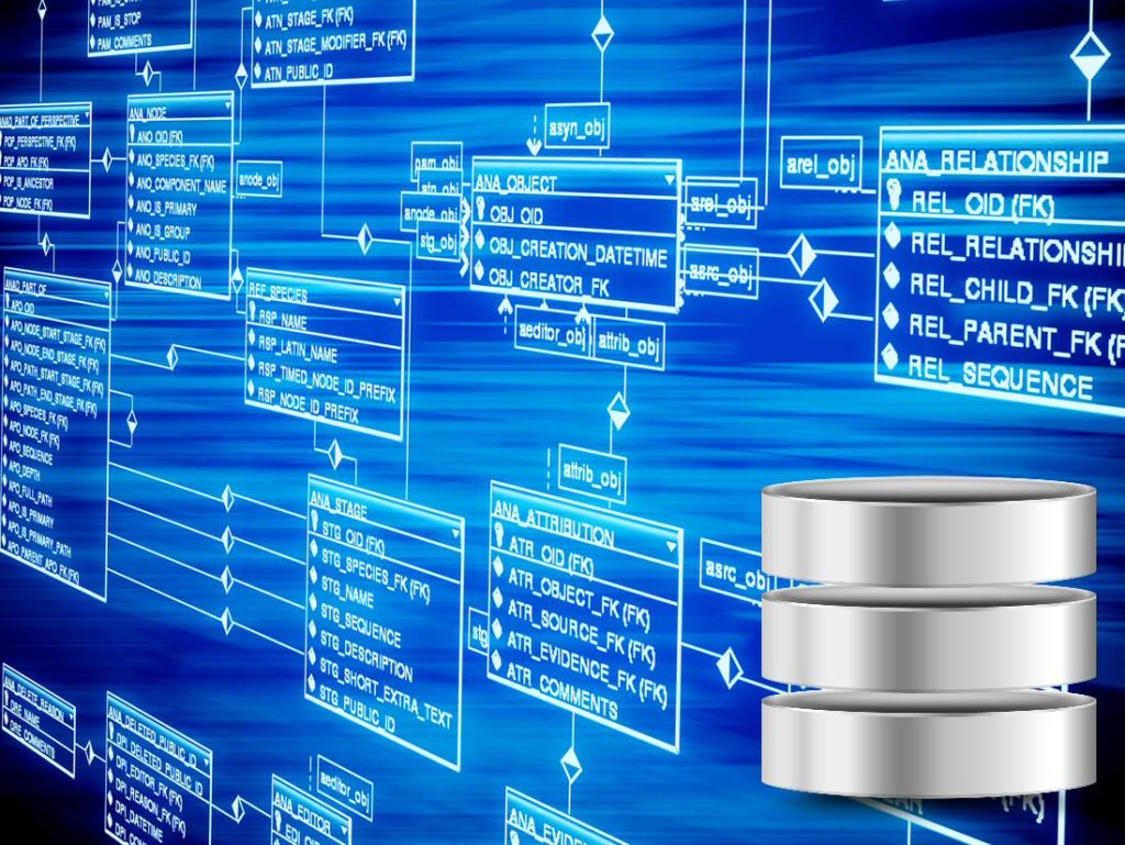 Database Architecture